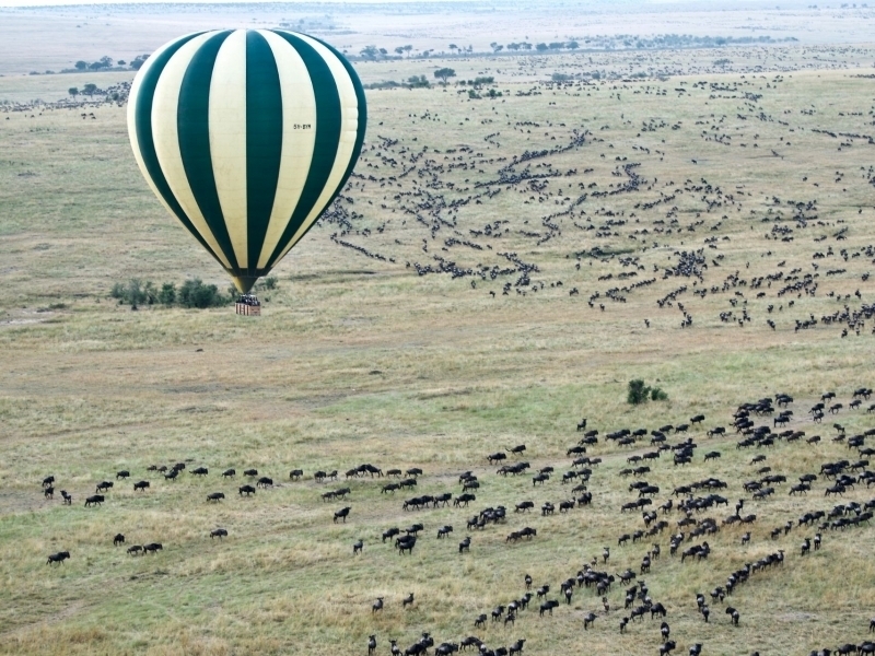 WILDEBEEST MIGRATION IN KENYA: THE GREATEST SHOW IN THE WORLD