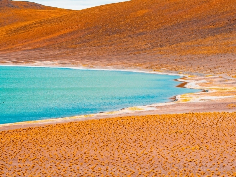 What's So Special About the Atacama Desert?